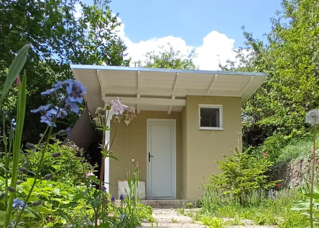 The Bungalow Braşov Eksteriør billede