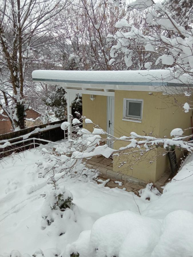 The Bungalow Braşov Eksteriør billede
